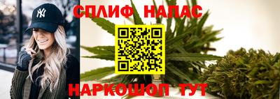 прущие грибы Чебоксары
