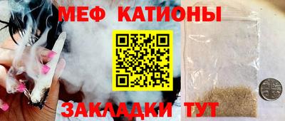 прущие грибы Чебоксары